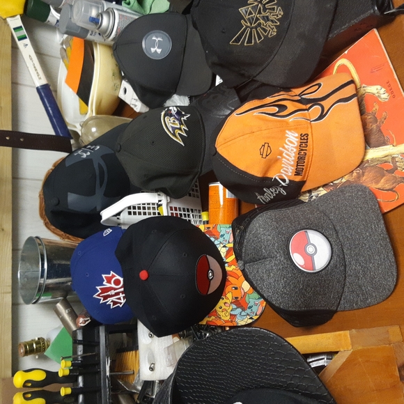 Hats - Picture 2 of 3